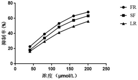 核桃乙酰胆碱酯酶抑制肽及其应用