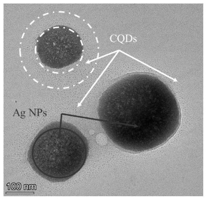 一种活性碳量子点复合纳米银拉曼增强基底及其制备方法和在检测微囊藻毒素中的应用