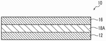 感光性转印材料及其制造方法、膜、触控面板、劣化抑制方法以及层叠体及其制造方法与流程