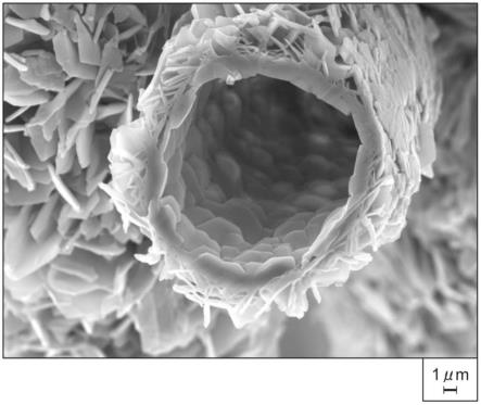 氮化硼粒子、树脂组合物及树脂组合物的制造方法与流程