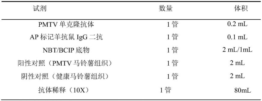 分泌抗马铃薯帚顶病毒单抗杂交瘤细胞株及其单抗应用