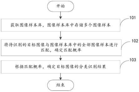 分类识别方法、装置、识别设备及存储介质与流程