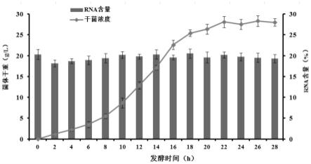 一种生物法生产高含量天然小分子RNA的方法与流程