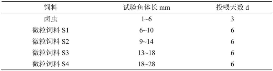 一种诱导斑点叉尾鮰性别分化的方法与流程