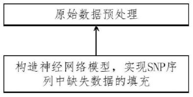 一种SNP序列的填充方法与流程