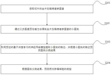 一种基于深度学习的颅内肿瘤细胞的分类方法和系统