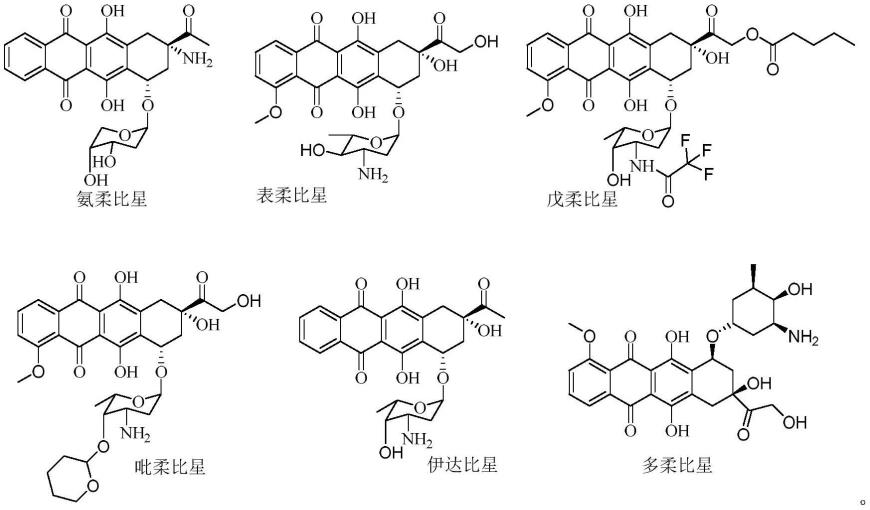 一种蒽环类药物中间体的制备方法与流程