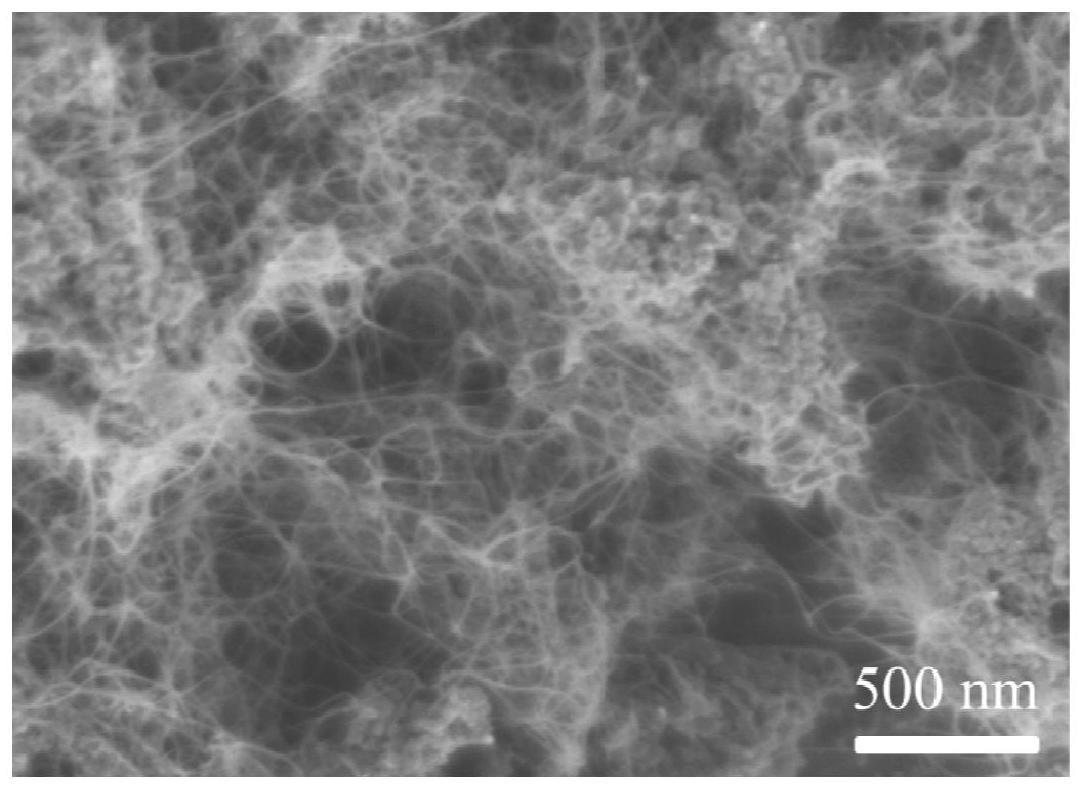 一种废旧聚苯乙烯塑料转化为单壁碳纳米管的制备方法