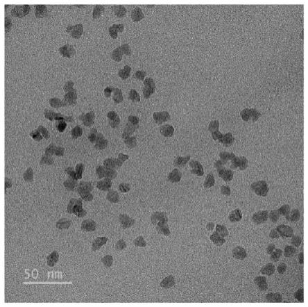 一种水溶性稳定的硫化铜纳米颗粒及其制备方法与应用