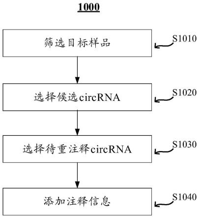 circRNA检测方法、计算机程序产品及系统与流程