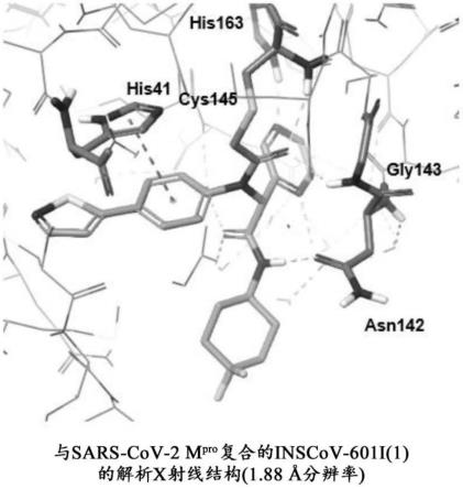 用于治疗冠状病毒感染的具有共价修饰的SARS-COV-2抑制剂的制作方法