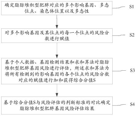 一种脂肪堆积型肥胖基因风险评估方法及系统与流程