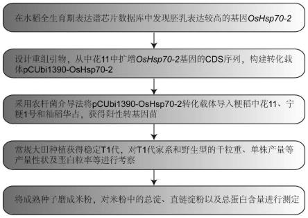 一种创制水稻高产优质的方法与流程