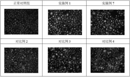 一种白及提取物的制备方法及其产品和应用与流程