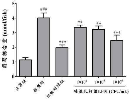 唾液乳杆菌及在制备治疗和/或预防糖尿病药物中的应用的制作方法