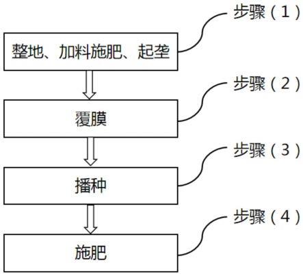 一种红壤坡耕地花生抗旱栽培方法与流程