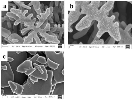 改性蕨状钒酸铋光催化纳米材料及其制备方法和应用