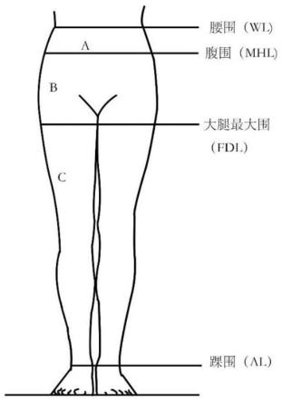 一种经编全成形超高弹力无尺码打底裤的制作方法