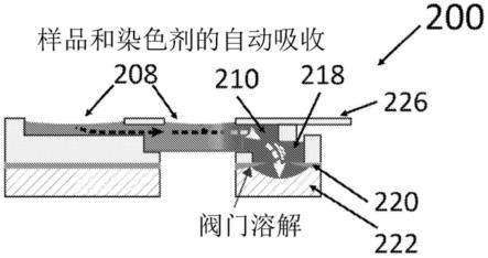 一种用于样品制备的主动微流控装置的制作方法