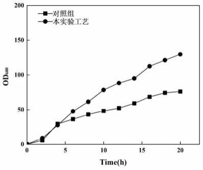 一种双顺反子翻译偶联表达载体及其应用