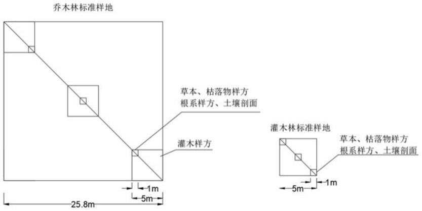 一种区域尺度上森林植被碳储量的估算方法与流程