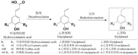 一株异常维克汉姆酵母及其在蓝莓果酒降酸固色中的应用