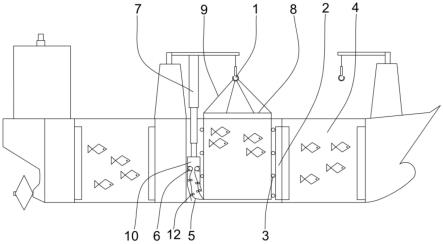 一种用于养殖工船养殖舱的快速集鱼装置的制作方法