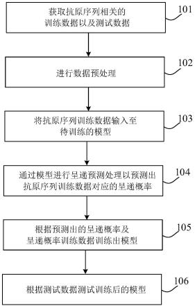 抗原呈递预测模型的训练方法及其预测方法、设备和介质与流程