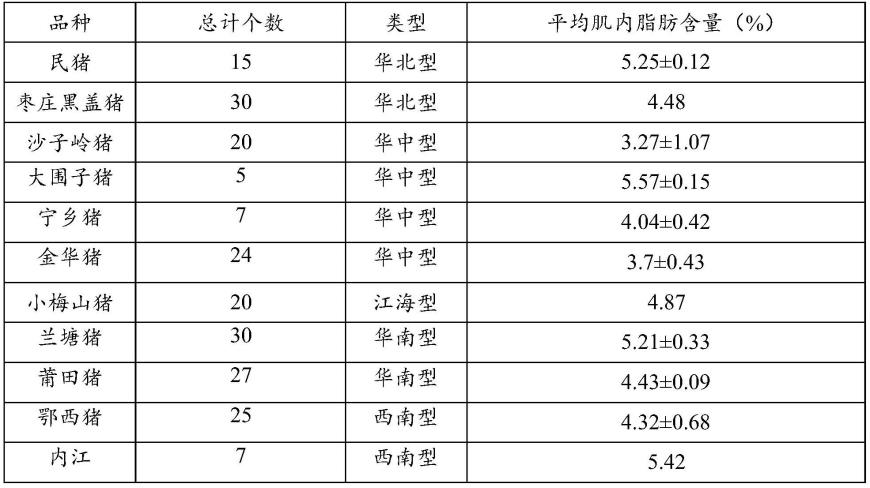 与猪肌内脂肪性状相关的SNP分子标记及其应用与检测方法