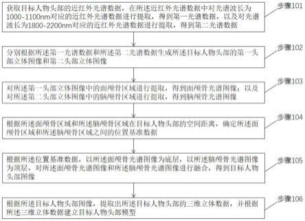 一种基于近红外光谱成像的头部模型构建方法及系统与流程