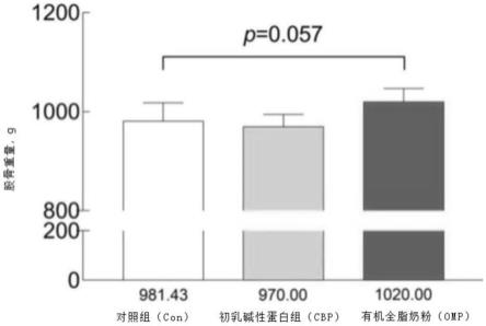 用于促进骨形成或预防骨流失组合物的制作方法