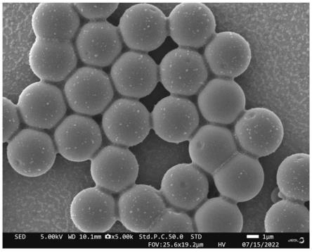 一种微米级单分散交联聚苯乙烯微球及其制备方法与流程