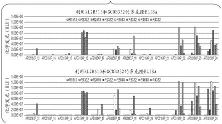 抗KLK2抗体的抗独特型抗体的制作方法