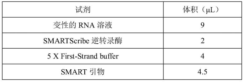 一种微量样品的全长环状RNA鉴定方法