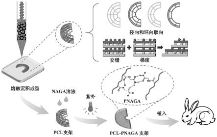 一种用于半月板替代的3D打印支架及其制备方法