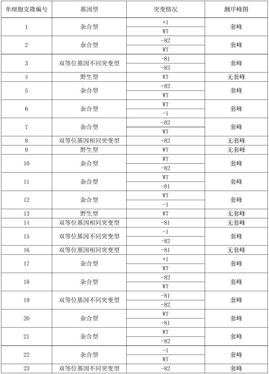 基因编辑系统及其在构建TNIP1基因突变的银屑病模型猪核移植供体细胞中的应用的制作方法