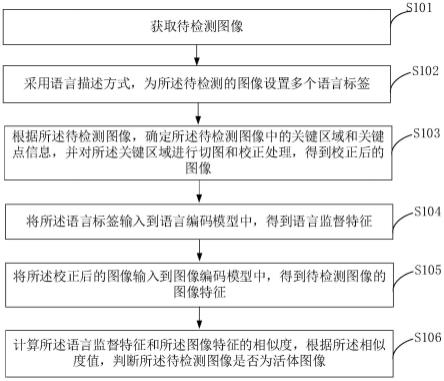 活体检测方法、装置、终端设备和可读存储介质与流程