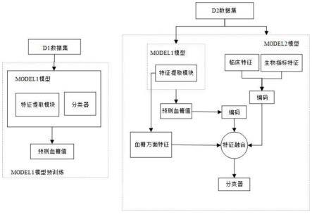 基于多模态特征融合的2型糖尿病风险分层预测方法