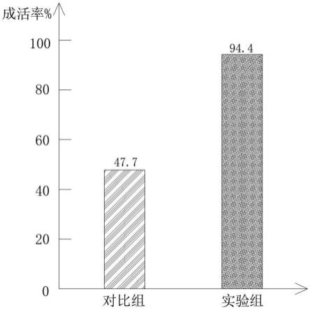 一种用于寒冷凉区旱地的饲用桑栽植方法与流程