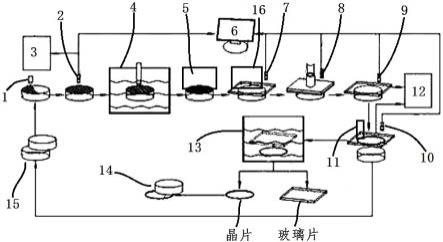 一种SiC晶片的检测系统及其检测方法与流程