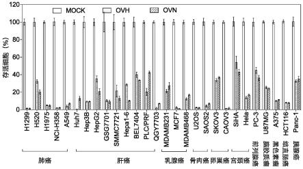 一种重组单纯疱疹病毒及其用途的制作方法