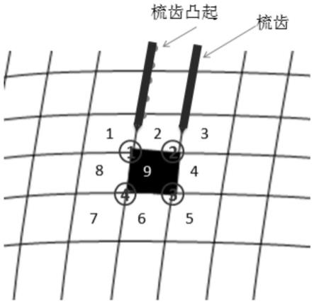 一种头发选取和夹持方法