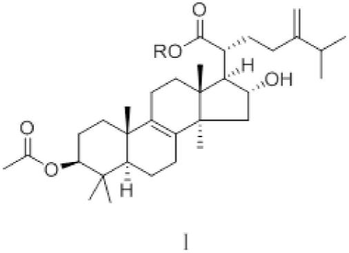 茯苓酸衍生物、其制备方法及其应用