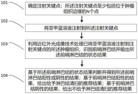 基于近红外光成像技术的图像分析方法及其系统