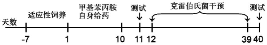 产酸克雷伯氏菌的应用