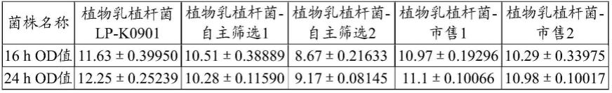 利用新型植物乳植杆菌菌株中药发酵及应用的制作方法