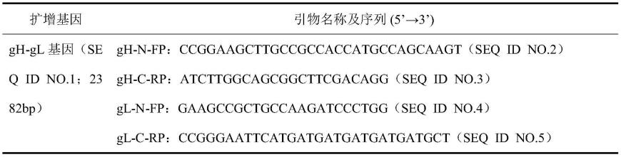 一种猪伪狂犬病病毒gH与gL亚单位联合疫苗及其制备方法