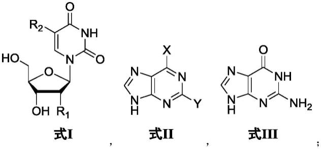酶催化合成嘌呤核苷的方法及组合物与流程
