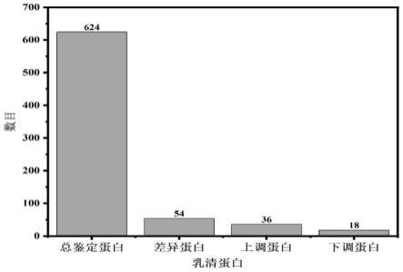 基于DIA技术探究和分析不同民族人乳中差异蛋白的方法与流程