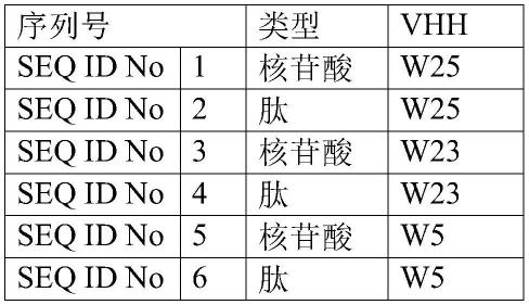 针对SARS-CoV-2病毒的单域VHH抗体